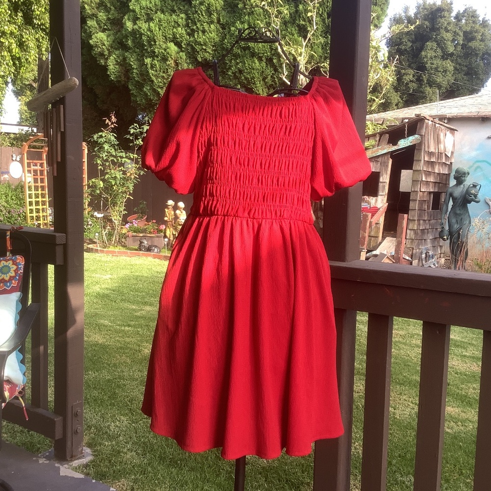 LuLaroe Alina dress size m